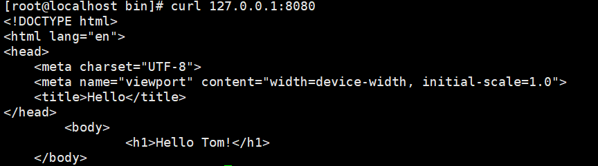 image-20241230194243705